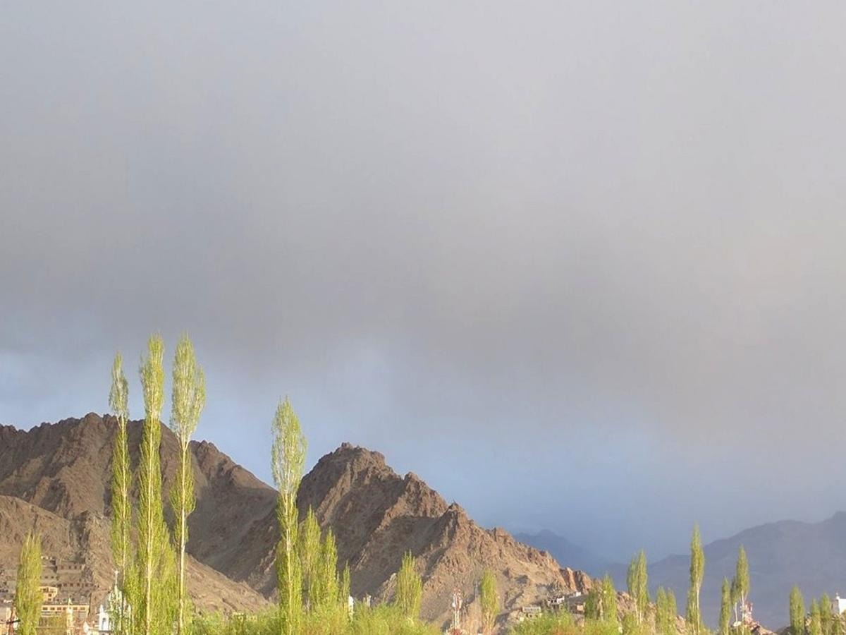 Hotel New Glacier View Leh Bagian luar foto